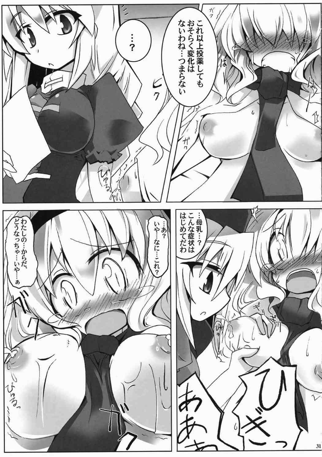 (Reitaisai 6) [Oppai Brothers (Various)] Alice Ijiri Goudoushi Nanairo Ayatsuri Ningyou (Touhou Project) page 29 full