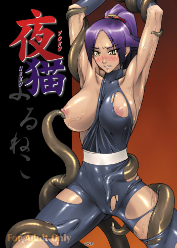 (Comic Castle 2005) [Nagaredamaya (BANG-YOU)] Yoruneko (Bleach) [English] - page 1
