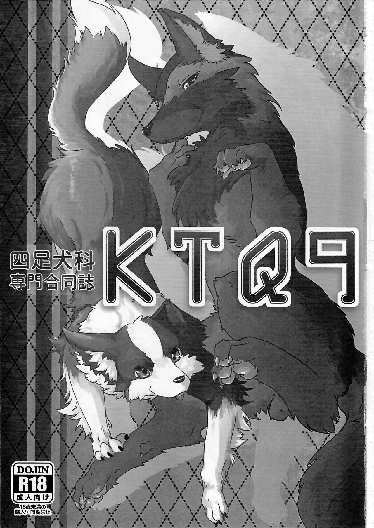 (Kansai! Kemoket 4) [KTQ48 (Various)] KTQ9 page 3 full