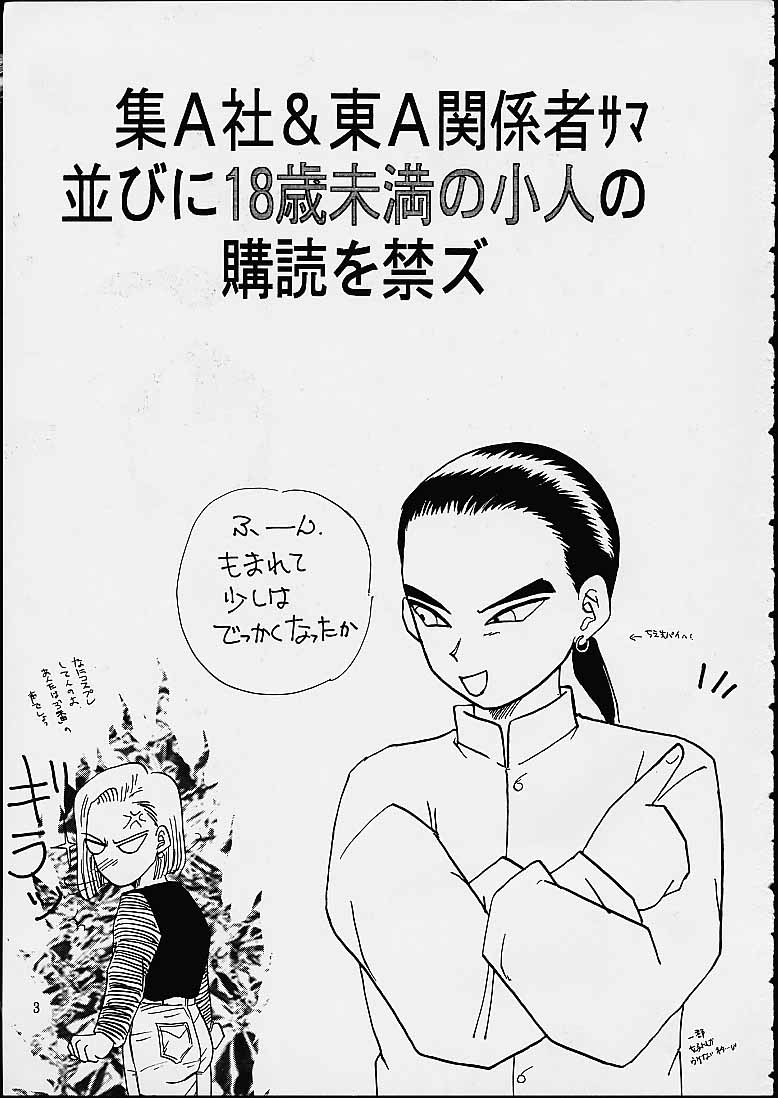 (C49) [Chirigami Goya / Fusuma Goten] Z (Dragonball) page 3 full