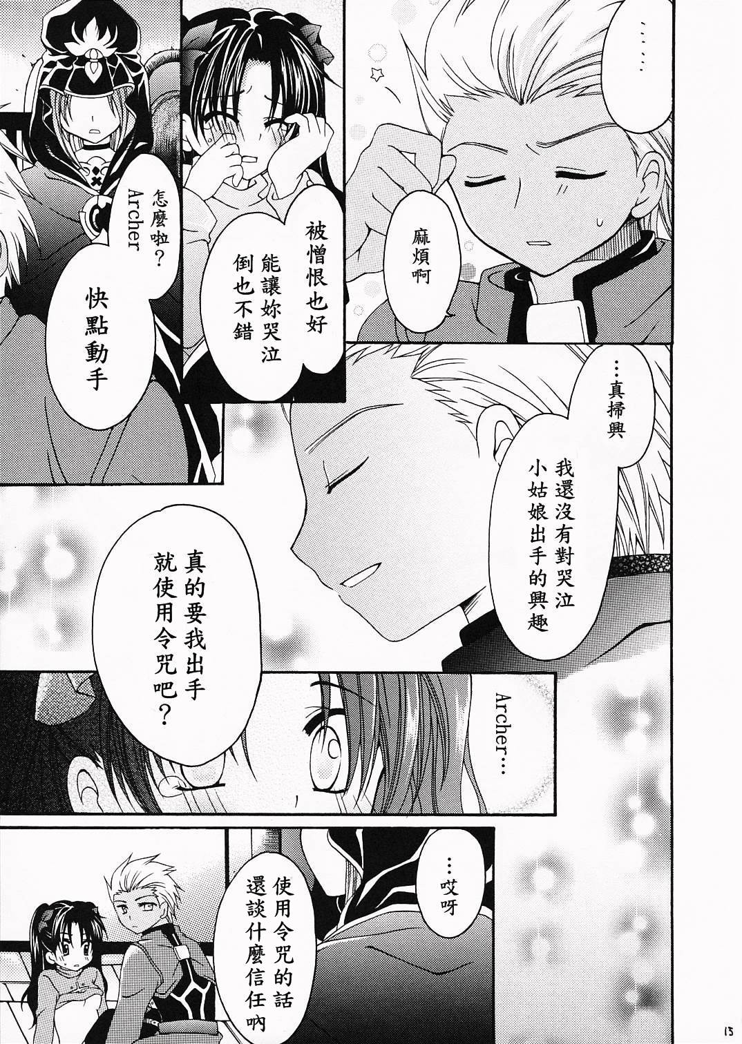 (ComiComi10) [GUNBURREL (Ikura Nagisa)] Silhouette X (Fate/stay night) [Chinese] [wl00314824個人漢化] page 14 full