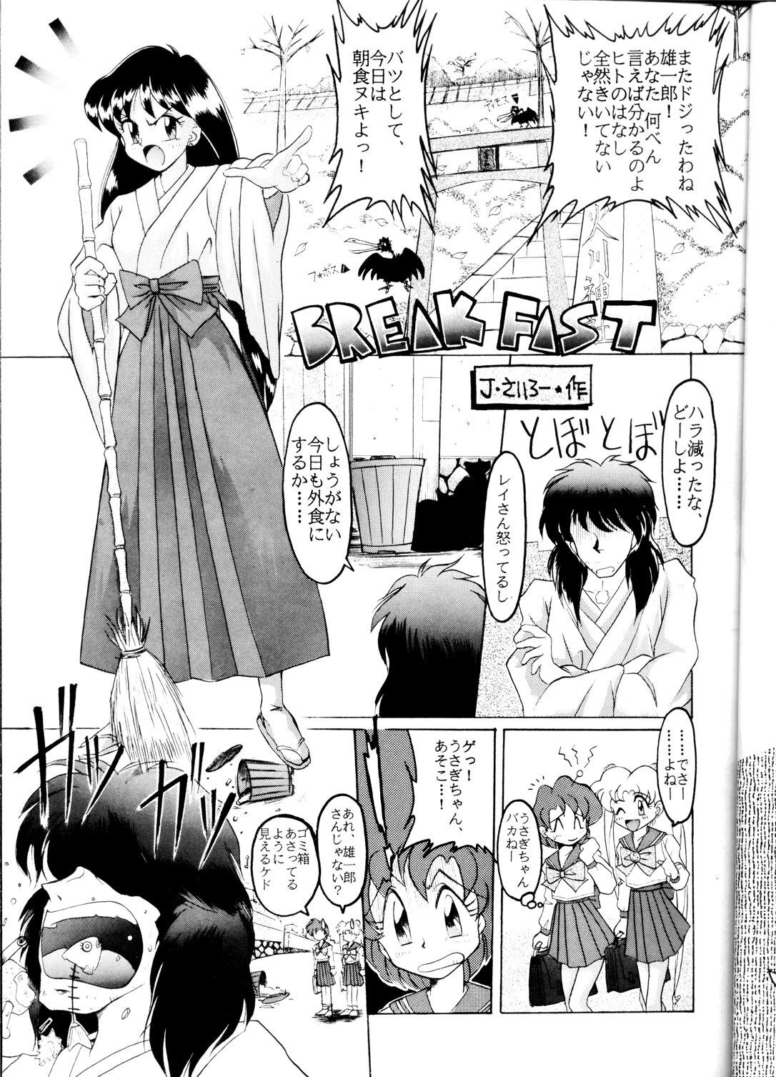 (CR16) [SAIRO PUBLISHING (J.Sairo)] Yamainu Volume.1 (Sailor Moon, Slayers) page 13 full