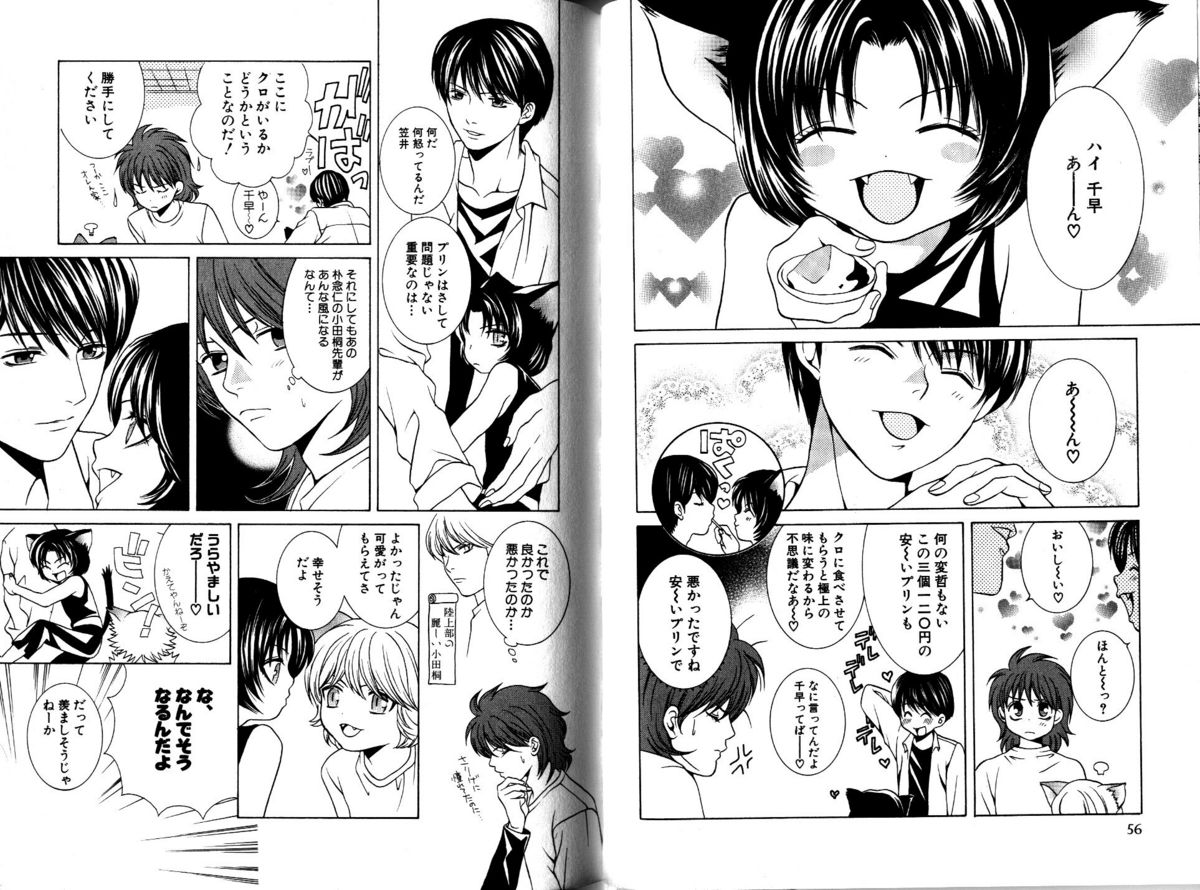 Akana Meiko - Nekokan page 31 full