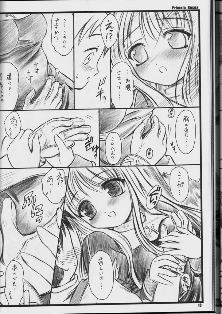 (C65) [Yakan Hikou (Inoue Tommy)] PRIMULA Rosea (Ragnarok Online) page 17 full