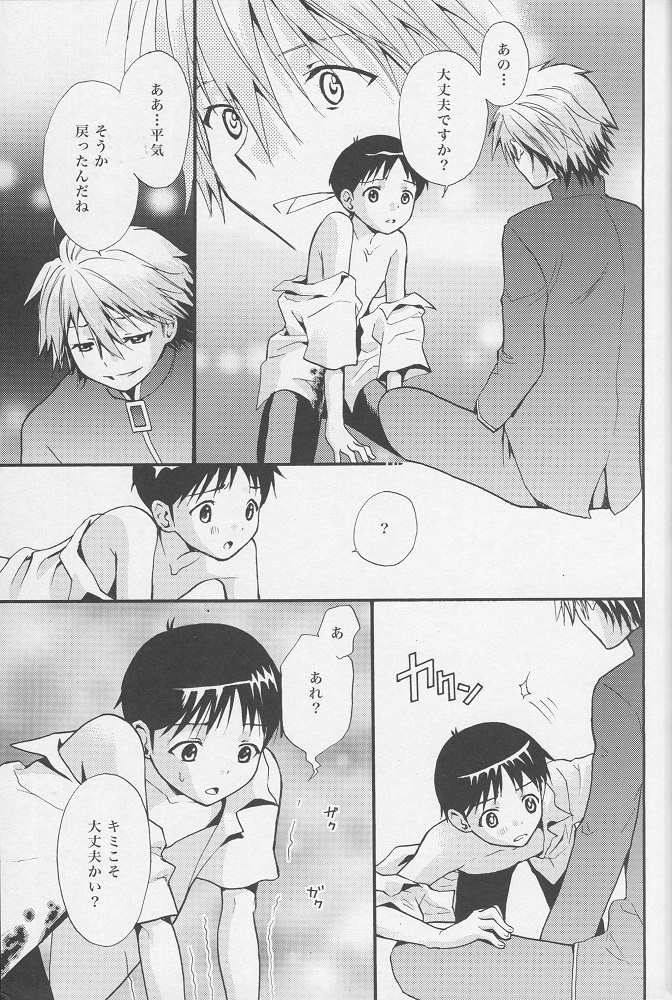 (C77) [RAYTREC (Fuyunagi Reku)] +PLUS (Neon Genesis Evangelion) page 12 full