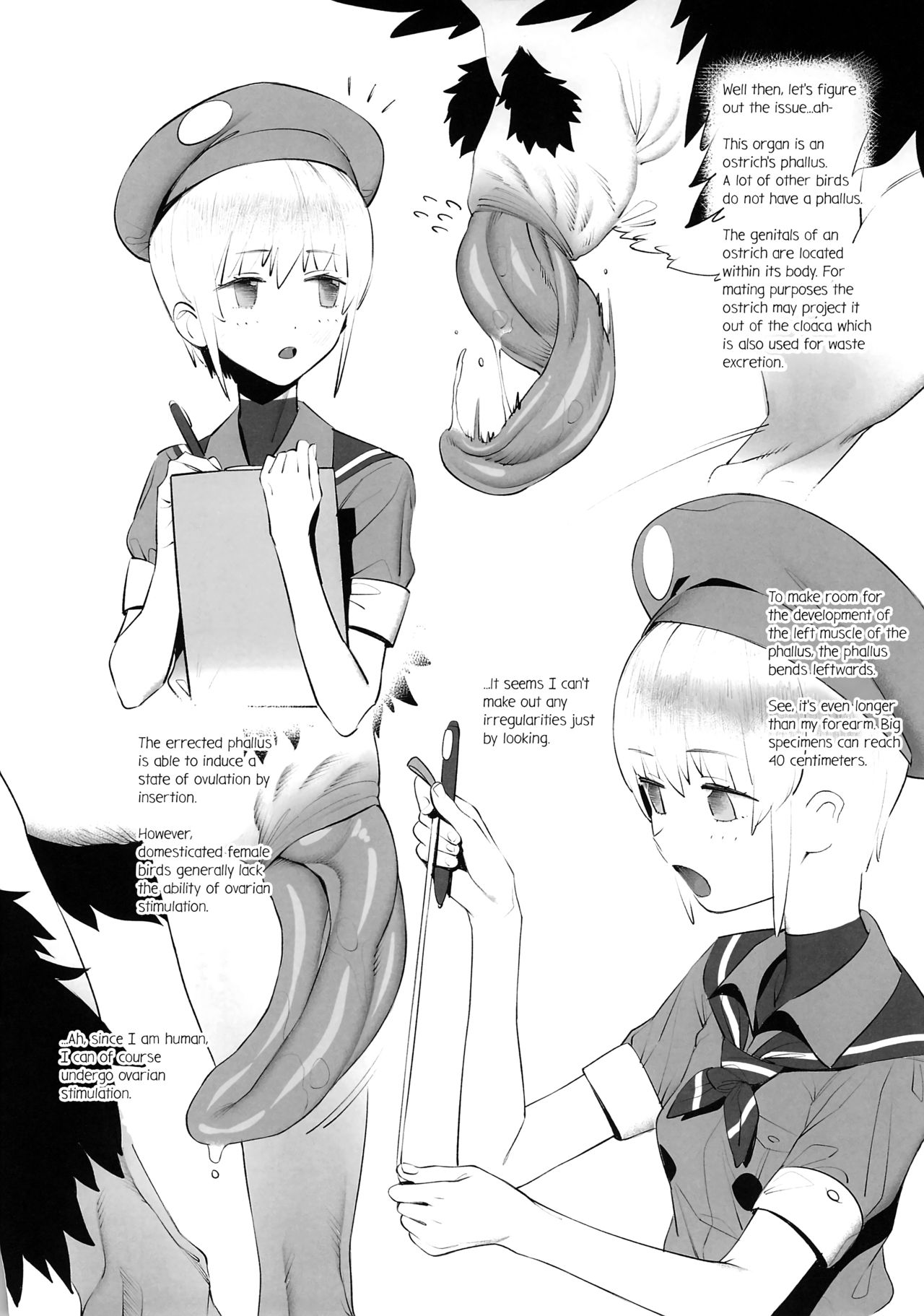 (SC2018 Autumn) [zero-sen (xxzero)] Tori no Kimochi Ii [English] [FishnChips] page 4 full