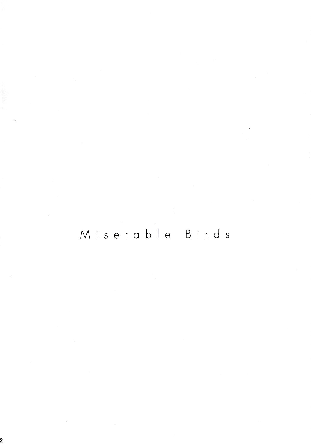 (C70) [EINSATZ GRUPPE (Charlie Nishinaka)] PRISONER 8 Miserable Birds (Gundam SEED DESTINY) [English] [YQII] page 3 full