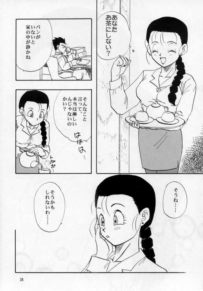 (C53) [Chirigami Goya, Fusuma Goten (Shouji Hariko)] HOHETO (Dragonball) page 25 full