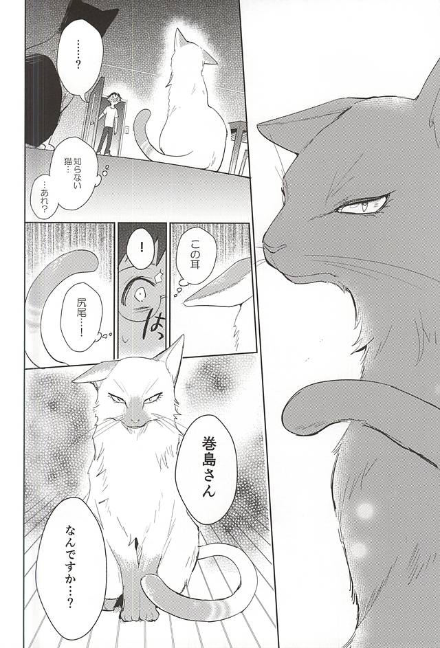 (C88) [DAIRA (Himeno)] Makishima-san ga Neko ni Natteshimaimashita. (Yowamushi Pedal) page 25 full