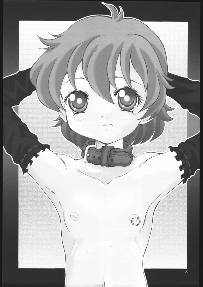 (CR35) [kisou D koubou (Saiki Efu)] S-DOG FILE001 (Read or Die) page 2 full