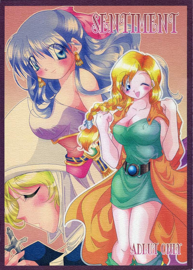 [Killer Pierce] SENTIMENT (Dragon Quest V) [Incomplete] page 1 full
