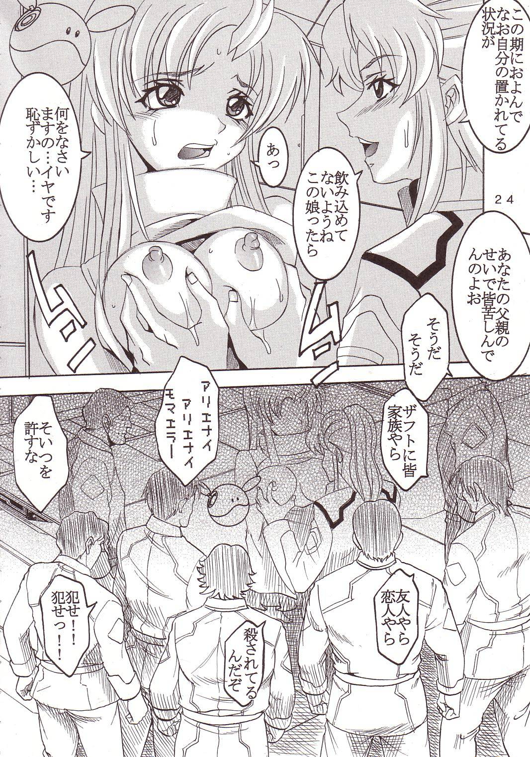 [St. Rio (Kitty, Ishikawa Ippei)] SEED 4 (Mobile Suit Gundam SEED) page 25 full