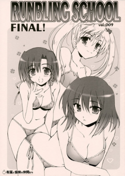 [Akabei Soft] Runbling School Final! Vol. 009 (School Rumble)