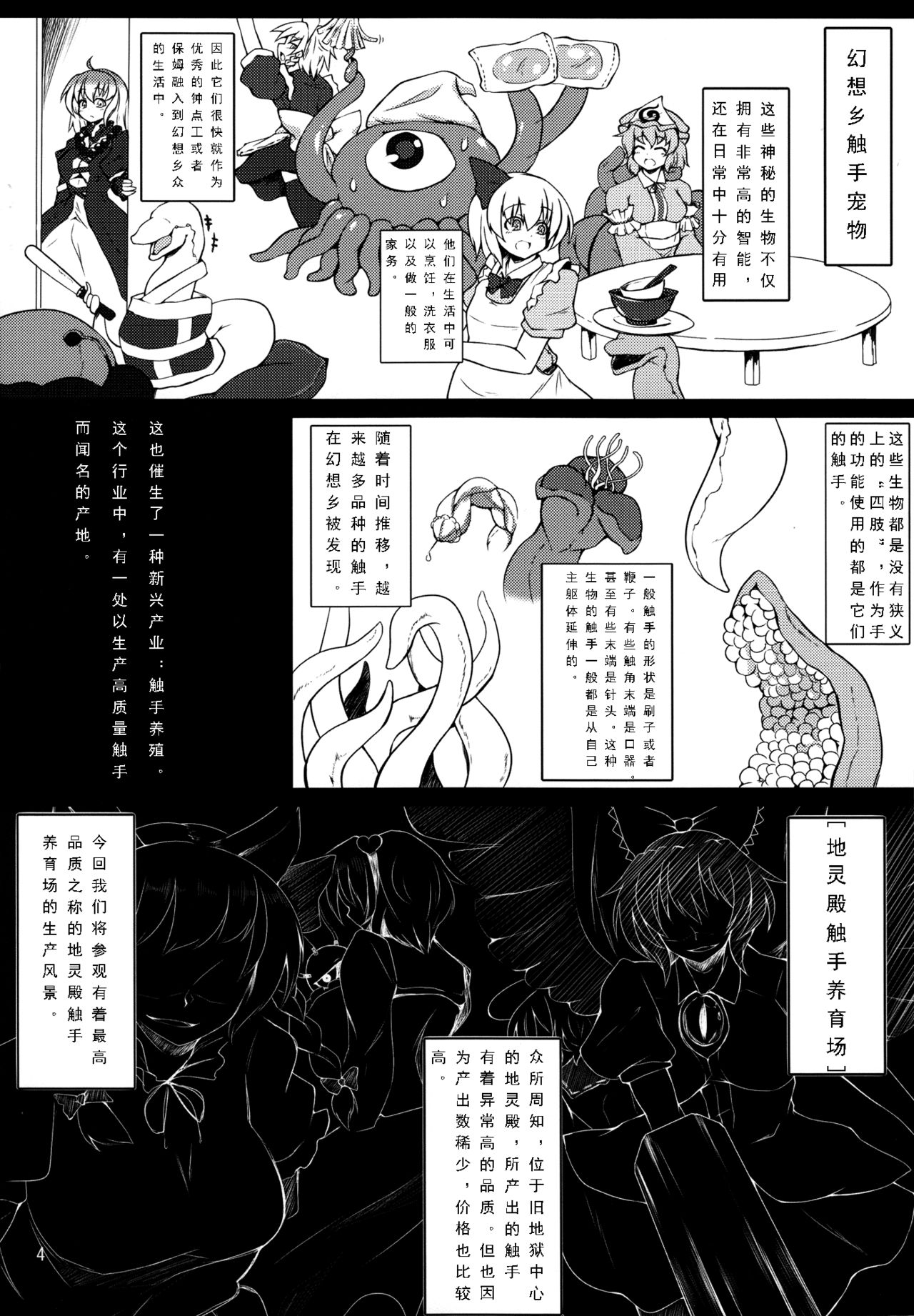 (C85) [Hadairo Rooibos Tea (Pandain)] Shokushu Chireiden ~Komeiji Satori~ (Touhou Project) [Chinese] [可乐个人汉化] page 3 full