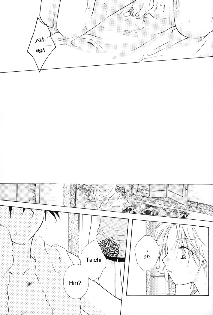 (SUPERKansai8) [SECTION E (Hirose Yukiya)] SUNSHINE and MOONLIGHT (Digimon Adventure 02) page 21 full