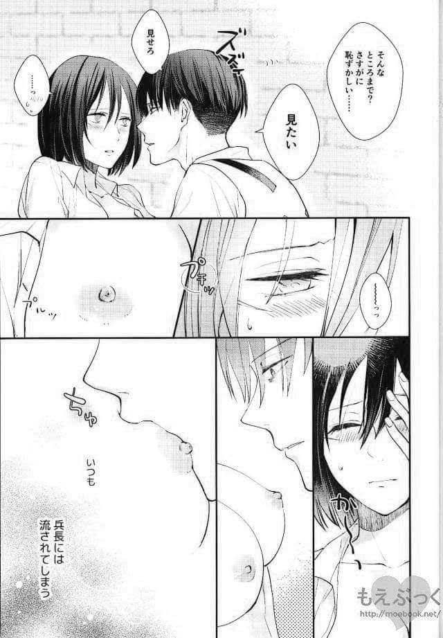 [Dissonance (Sakuragawa nā) ] Matte Nado Irarenai (Shingeki no Kyojin) page 5 full