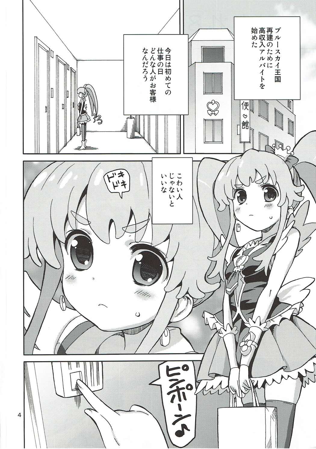 (C86) [Areya (Homing)] PreAre 8 -Hime Cure Delivery- (HappinessCharge Precure!) page 3 full