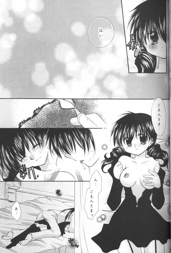 (C64) [Sakurakan (Seriou Sakura)] Tobikikiri no Himitsu (Inuyasha) page 23 full