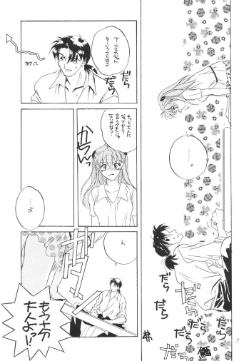 (CR19) [Digital Lover (Takanami Sachiko)] DESIR SEXUEL (Neon Genesis Evangelion) - page 6