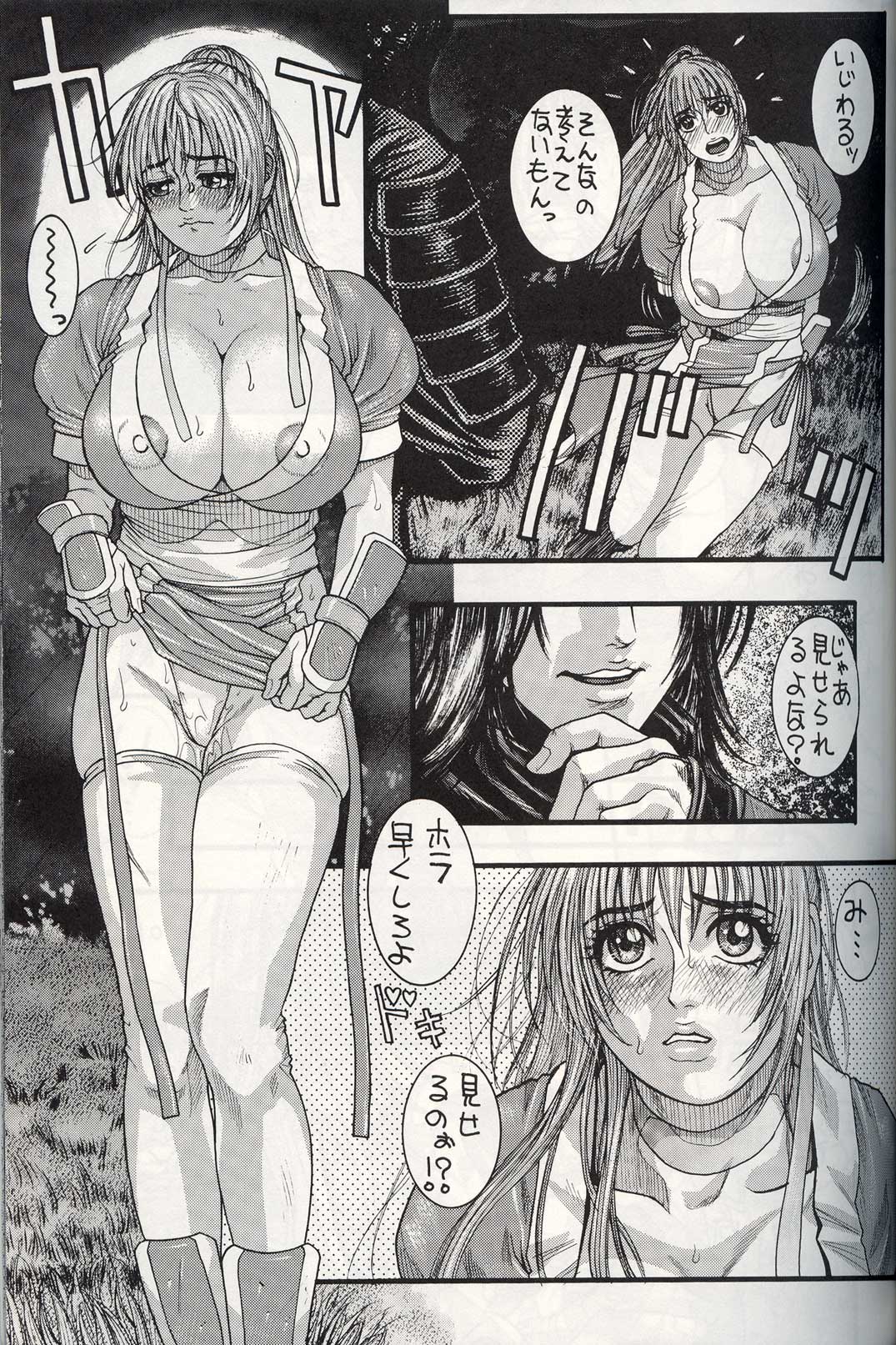 (C62) [H&K (Kotobuki Kazuki)] Kyokutou Mayonnaise (Dead or Alive) page 12 full