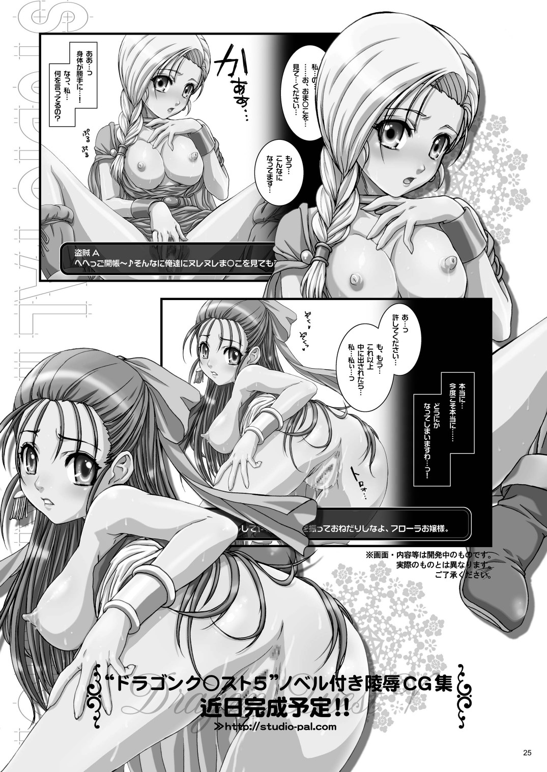 [STUDIO PAL (Nanno Koto)] Himitsu no Shimai (Atelier Totori) [Digital] page 25 full