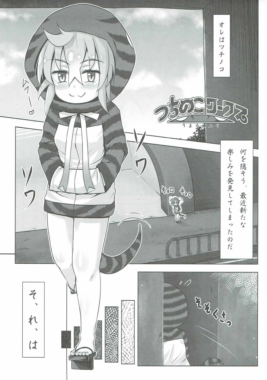 (COMIC1☆11) [8cm (Various)] Atsumare! Tanoshii Friends (Kemono Friends) page 24 full