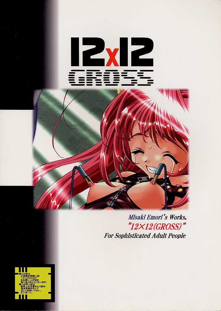 (C55) [ANARCHY SOX (Emori Misaki)] 12x12 GROSS (Various) page 78 full