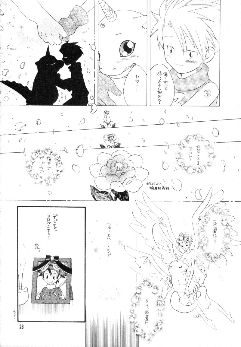 (CCTokyo96) [Haniwa Mania, Kuruguru DNA (Pon Takahanada, Hoshiai Hiro)] Bokura No Jogress World (Digimon Adventure 02) page 28 full