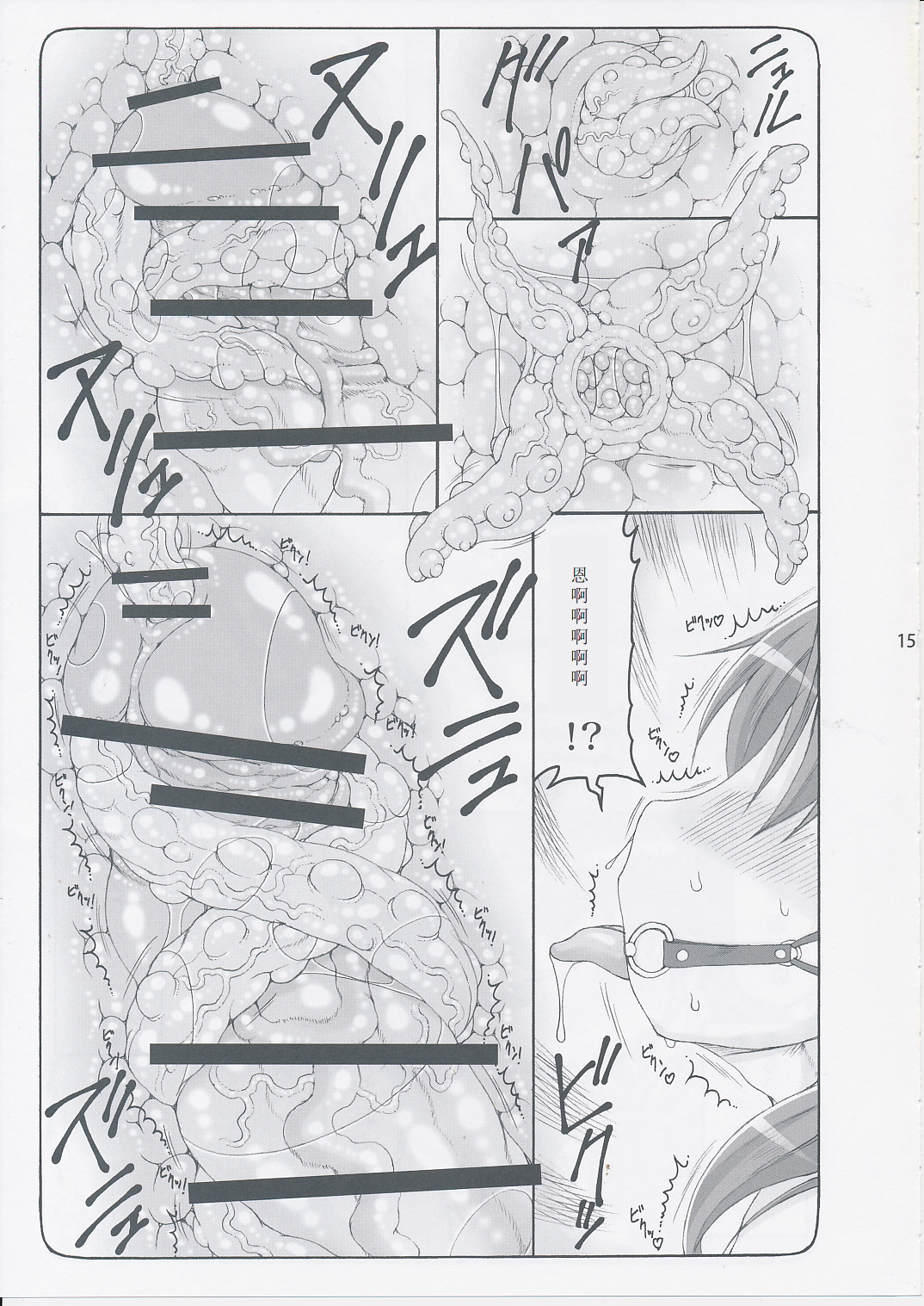 (C87) [Abarenbow Tengu (Izumi Yuujiro)] Kotori 11 (Fate/stay night) [Chinese] [个人汉化] page 14 full