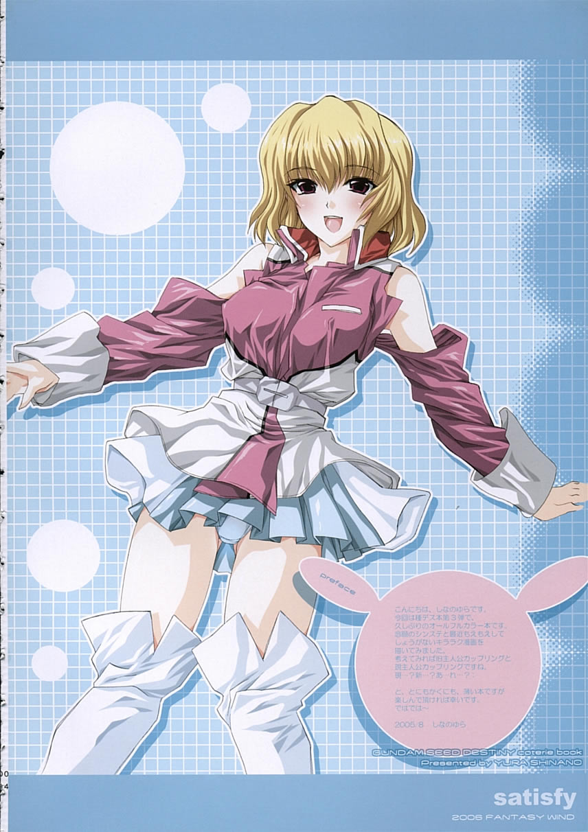 (C68) [FANTASY WIND (Shinano Yura)] satisfy (Gundam SEED DESTINY) [English] [HMedia] page 3 full