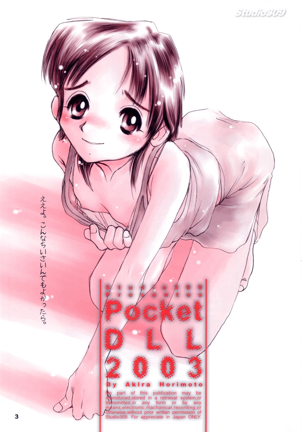 [Studio 309] Pocket Dll page 2 full