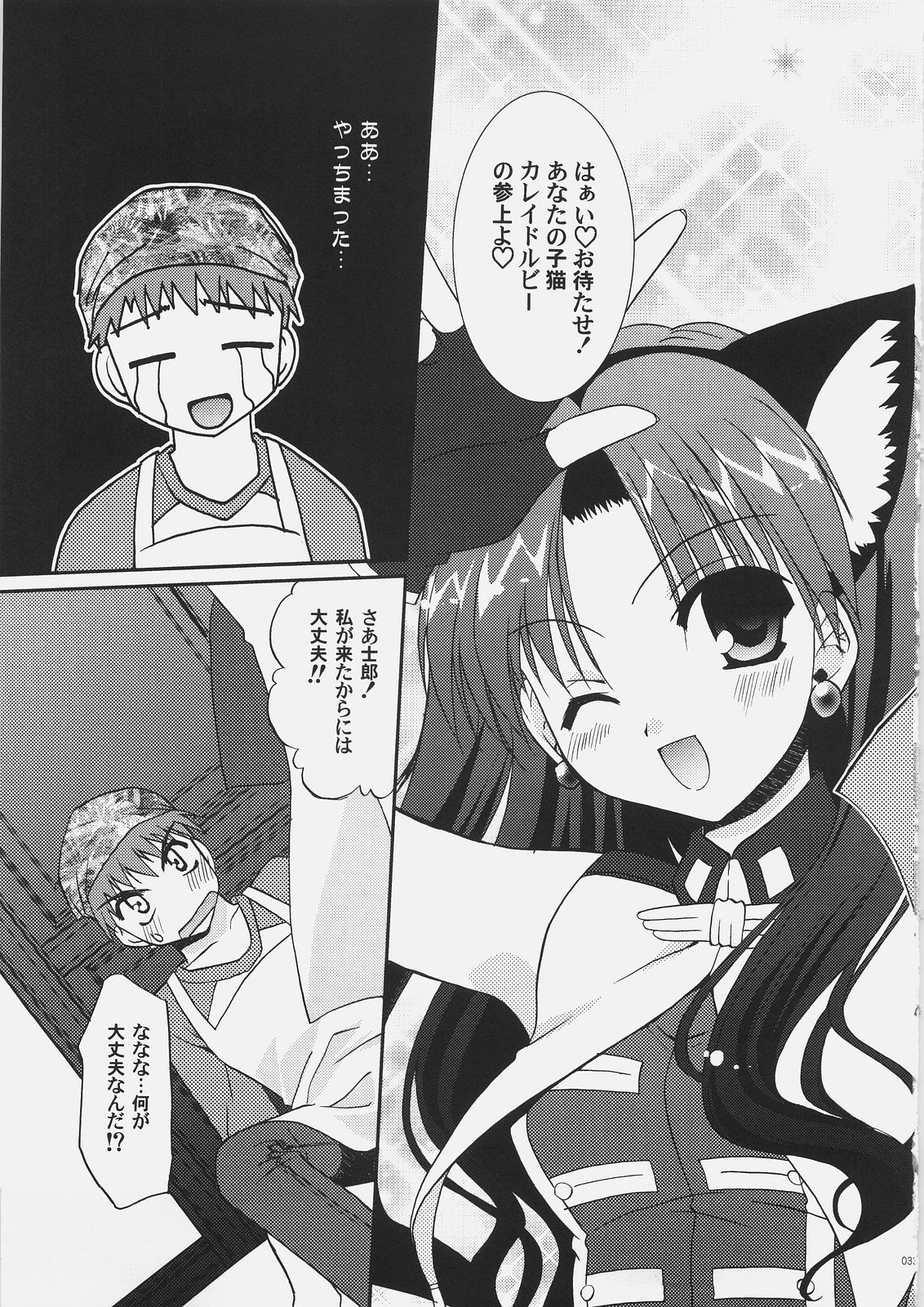 (C69) [C.A.T (Morisaki Kurumi)] Palette (Fate/stay night, Fate/hollow ataraxia) page 32 full