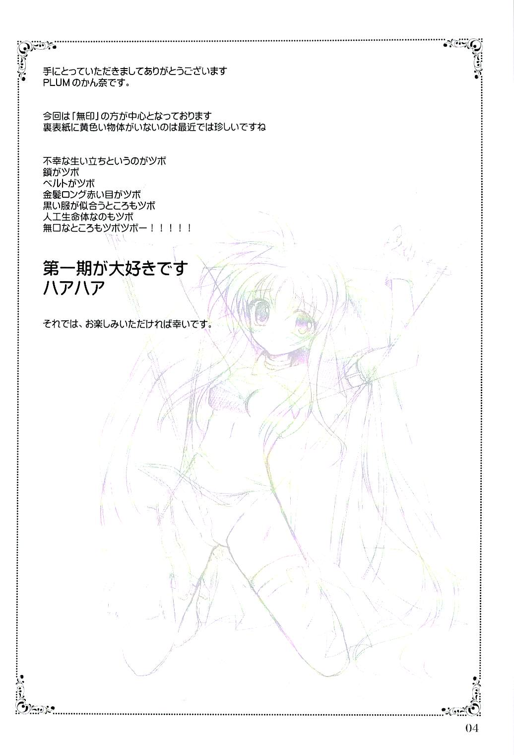 (SC34) [PLUM (Kanna)] Magical SEED BIND (Mahou Shoujo Lyrical Nanoha) page 3 full