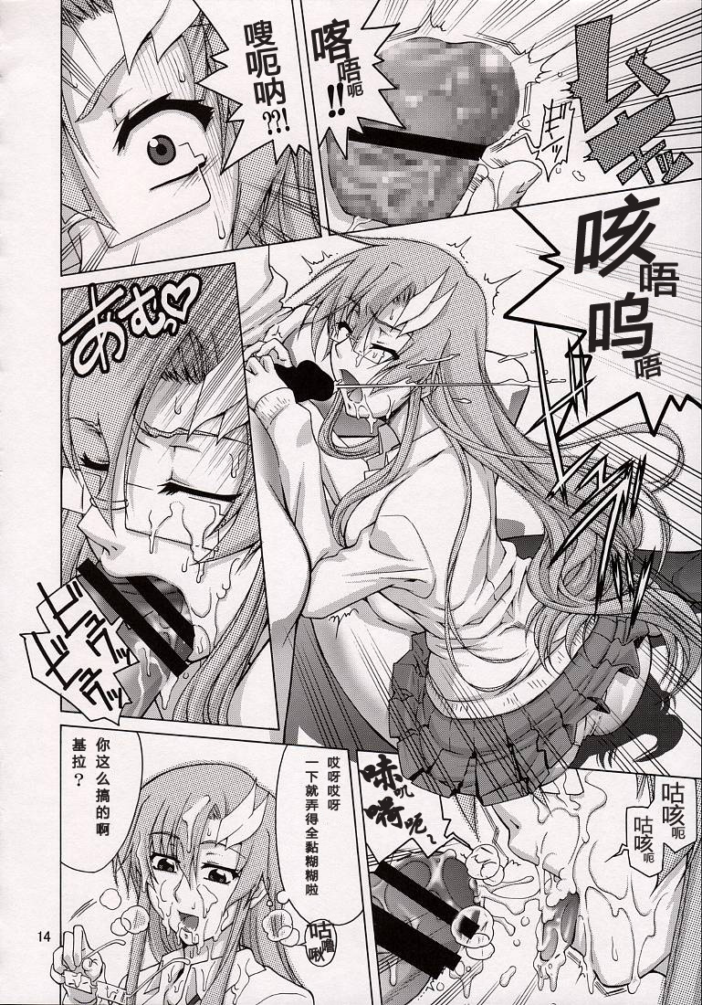 (C74) [GOLD RUSH (Suzuki Address)] A Diva of Healing V (Gundam SEED DESTINY) [Chinese] [graviton个人汉化] page 14 full