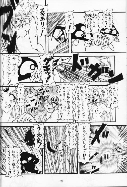 (C53) [Himawari Endan (Chunrouzan, Gakimagari, Kuribara Tento, Makichi)] Kyou no Ohiru wa Viking Kanzenban (Slayers) page 27 full