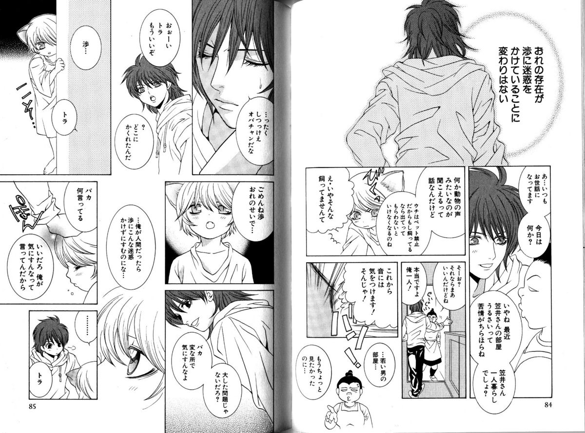 Akana Meiko - Nekokan page 45 full