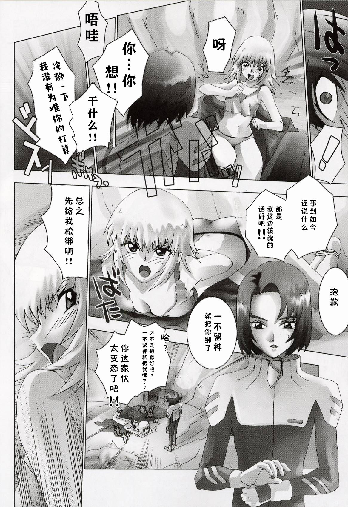 (C64) [Toluene Ittokan (Pierre Norano, Shinagawa Ham)] Ketsu Megaton Seed (Gundam Seed) [Chinese] 【零食汉化组】 page 8 full