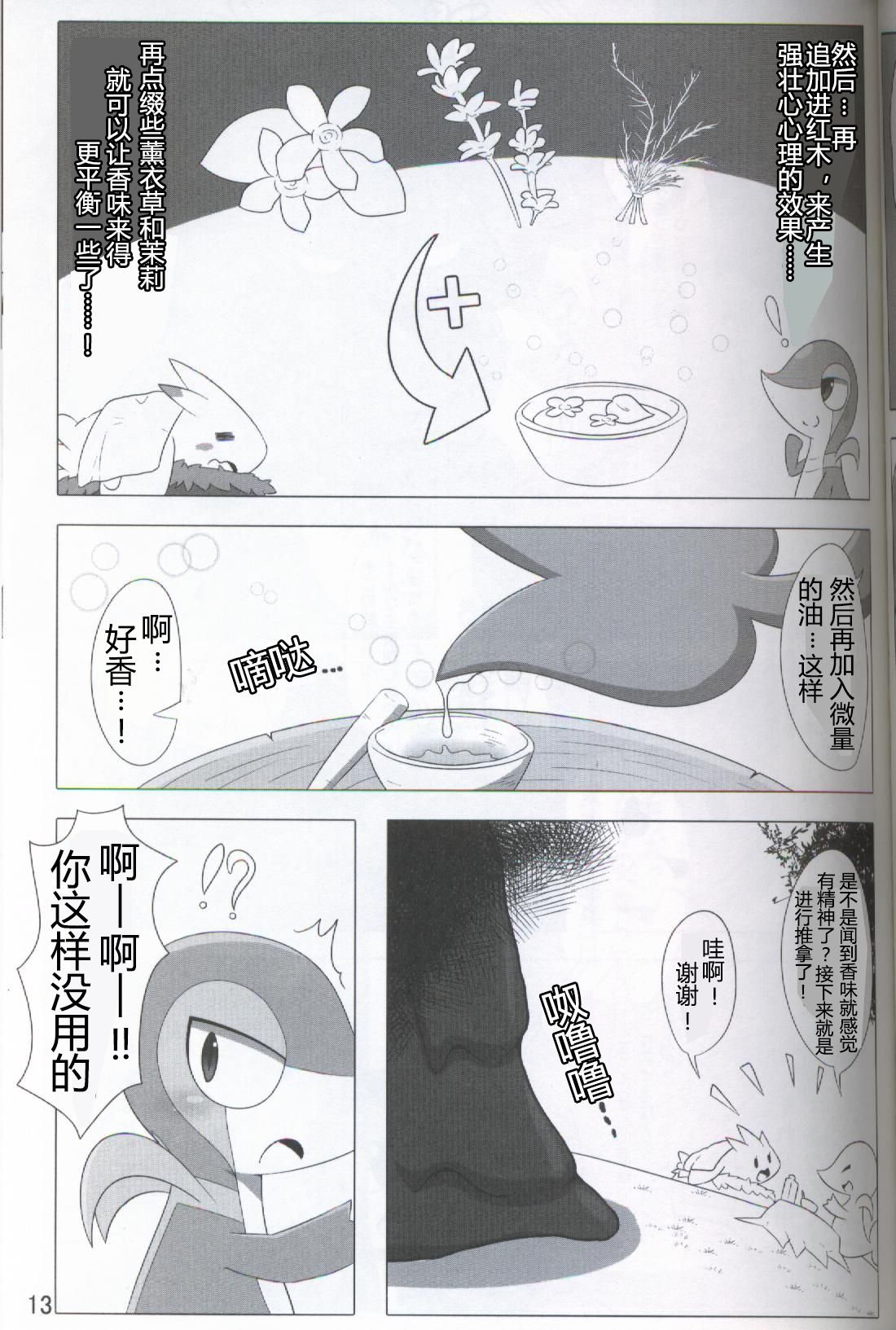 (Kansai! Kemoket 5) [Fuwatto (who)] Pokéda | 宝可堕 (Pokémon) [Chinese] [虾皮工作组] page 14 full