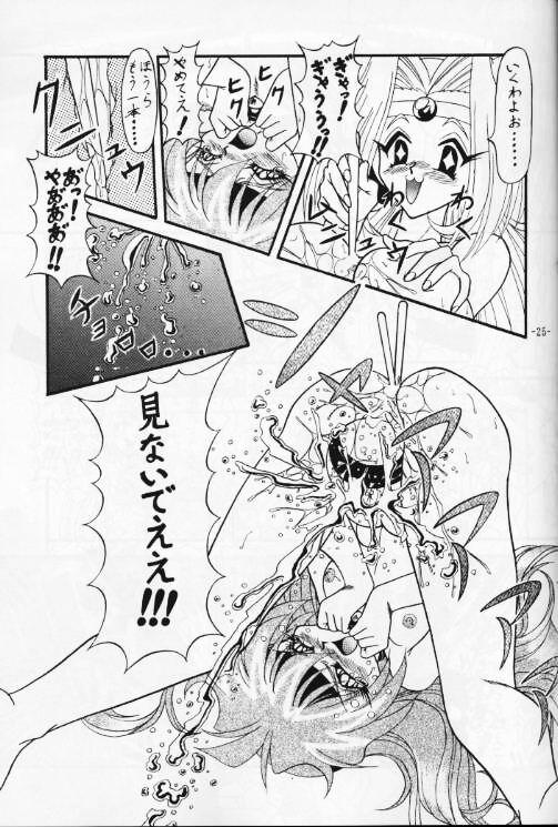 (C53) [Himawari Endan (Chunrouzan, Gakimagari, Kuribara Tento, Makichi)] Kyou no Ohiru wa Viking Kanzenban (Slayers) page 26 full