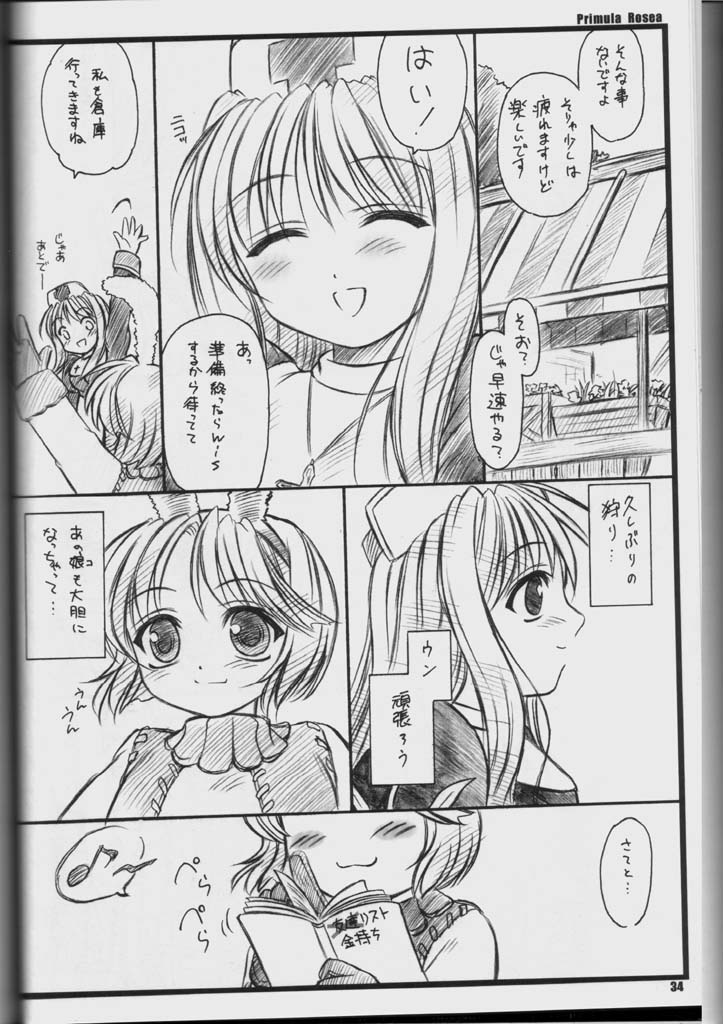(C65) [Yakan Hikou (Inoue Tommy)] PRIMULA Rosea (Ragnarok Online) page 33 full