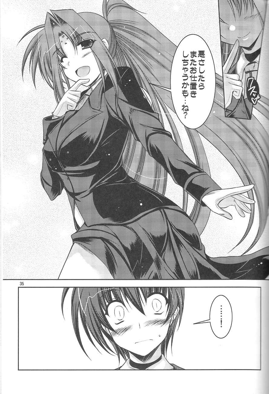 (C74) [ELHEART'S (Ibuki Pon)] ANOTHER FRONTIER 02 Mahou Shoujo Lyrical Lindy san #03 (Mahou Shoujo Lyrical Nanoha) page 35 full