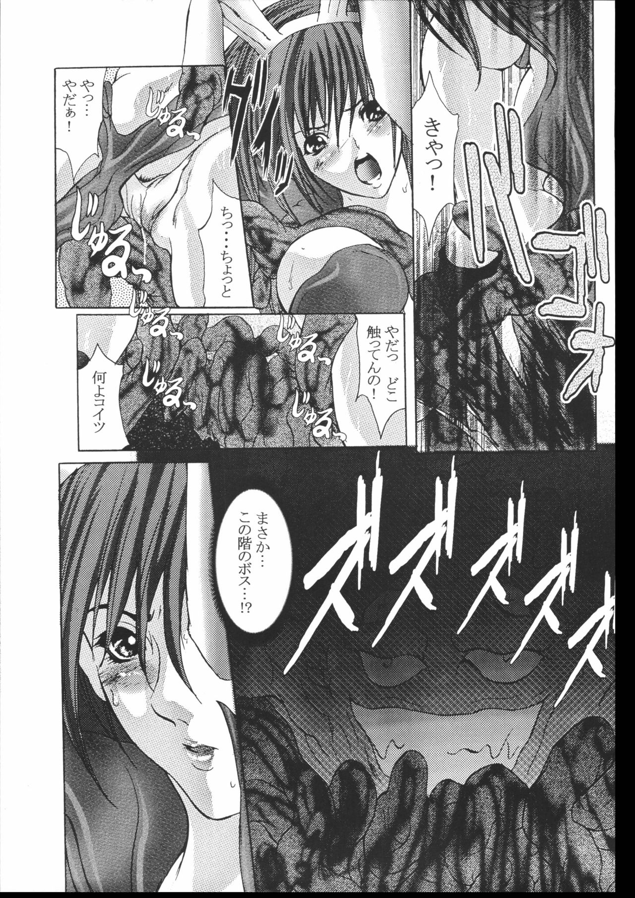 [NINE TAIL (GRIFON)] COLLECTERS (Ragnarok Online) page 6 full