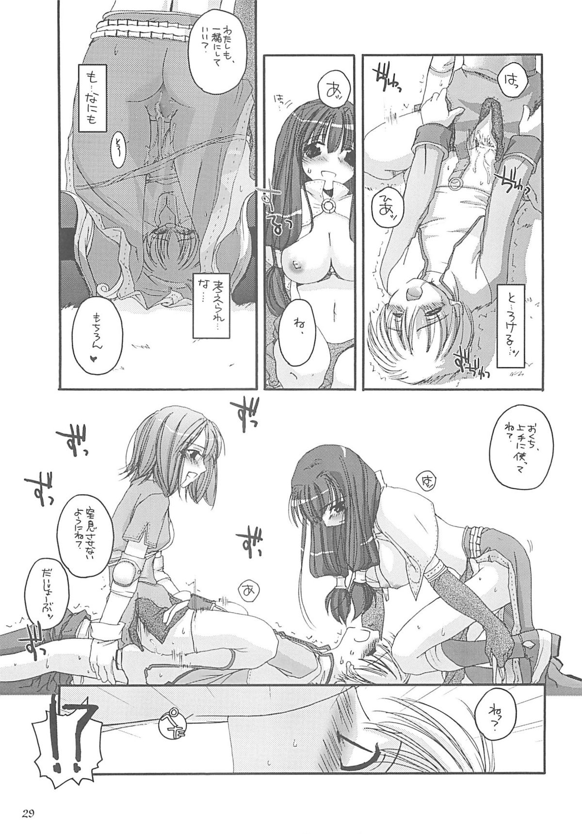 (C62) [Digital Lover (Nakajima Yuka)] D.L. action 13 (Ragnarok Online) page 28 full