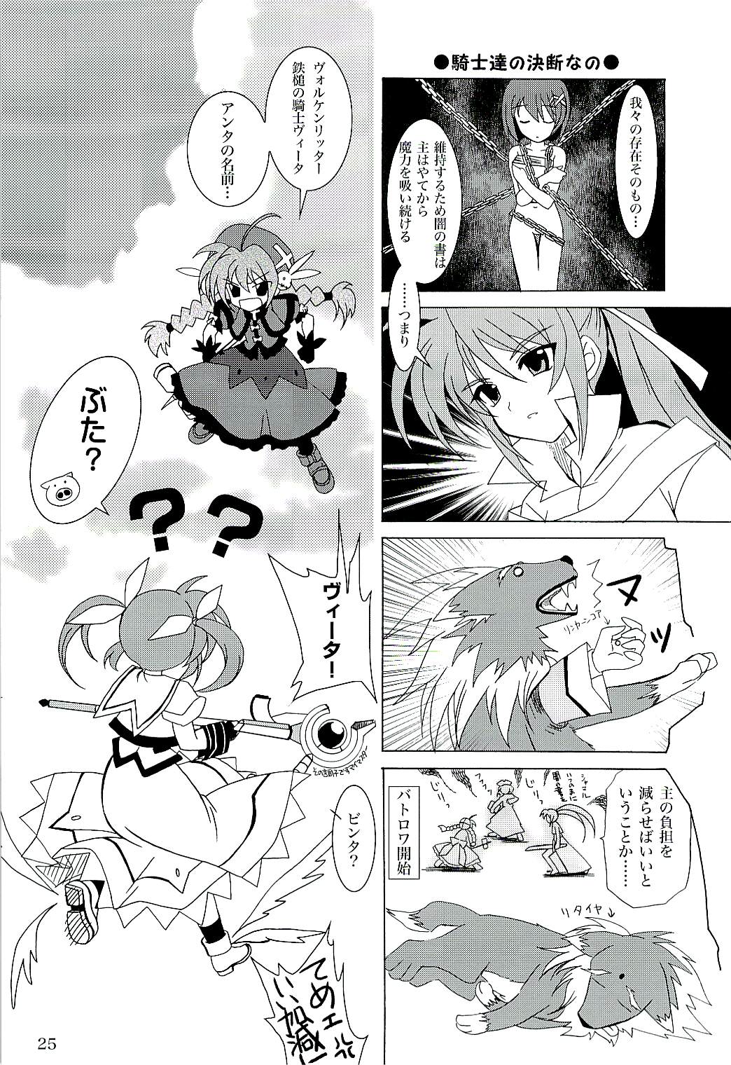 (C71) [PLUM (Kanna)] Magical SEED (Mahou Shoujo Lyrical Nanoha) page 24 full