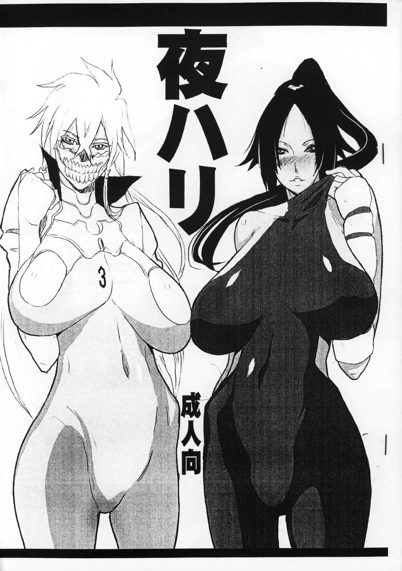 (C75) [VARIABLE? (Yukiguni Eringi)] Yoru Hari (BLEACH) page 1 full