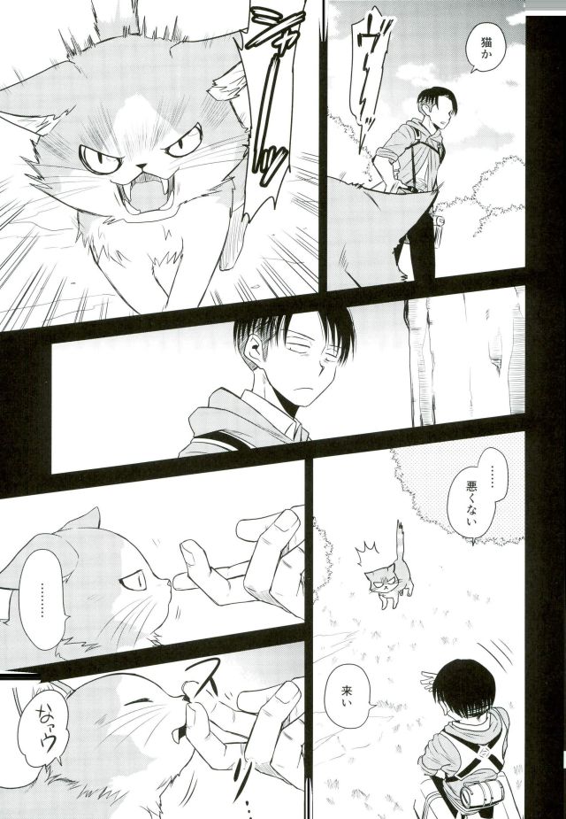 (C91) [Sonic (PANA)] Shinpei-kun ga Neko ni Narimashite (Shingeki no Kyojin) page 8 full