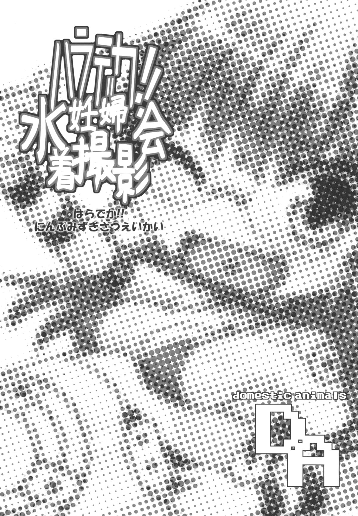 [Domestic animals (Murasame Maru)] Haradeka!! Ninpu Mizugi Satsueikai [Digital] page 3 full