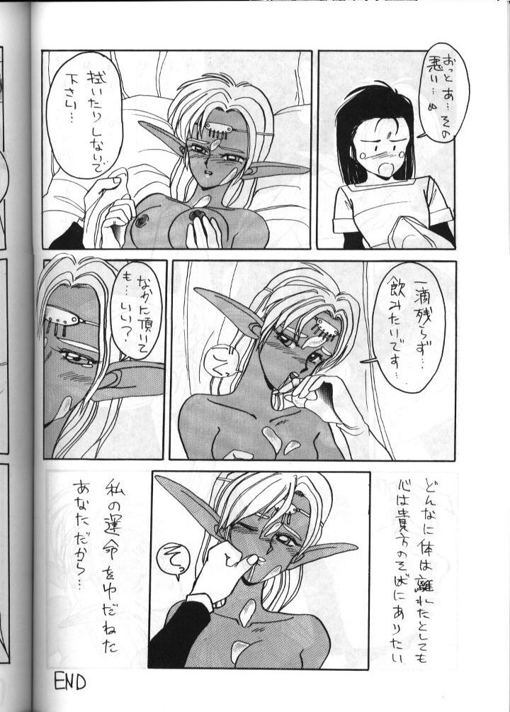 (C41) [Night Stalkers (Complier, Shamp Samurai)] Deed Ga Nobanashi 2 (Record of Lodoss War) page 17 full