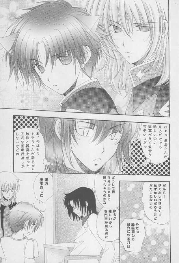 (C68) [Mutsuharu (Kagami Haruki)] Nekomimi Zouryouchuu (Gundam SEED DESTINY) [Incomplete] page 20 full