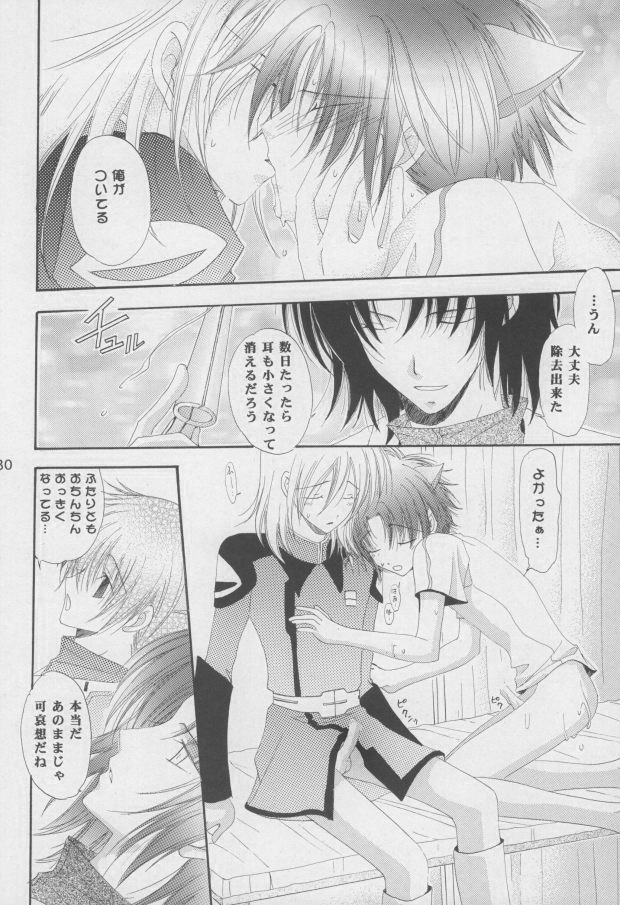 (C68) [Mutsuharu (Kagami Haruki)] Nekomimi Zouryouchuu (Gundam SEED DESTINY) [Incomplete] page 27 full